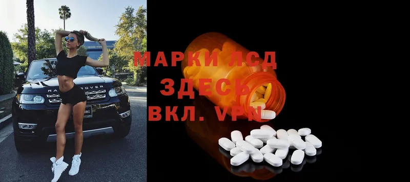 ЛСД экстази ecstasy  где купить   Шенкурск 